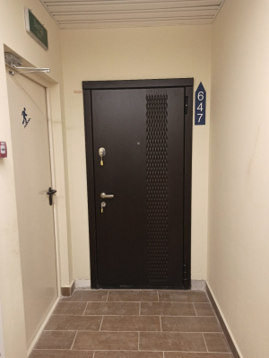 Дверь №151